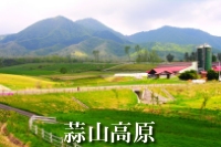 �Ђ邺�񍂌�